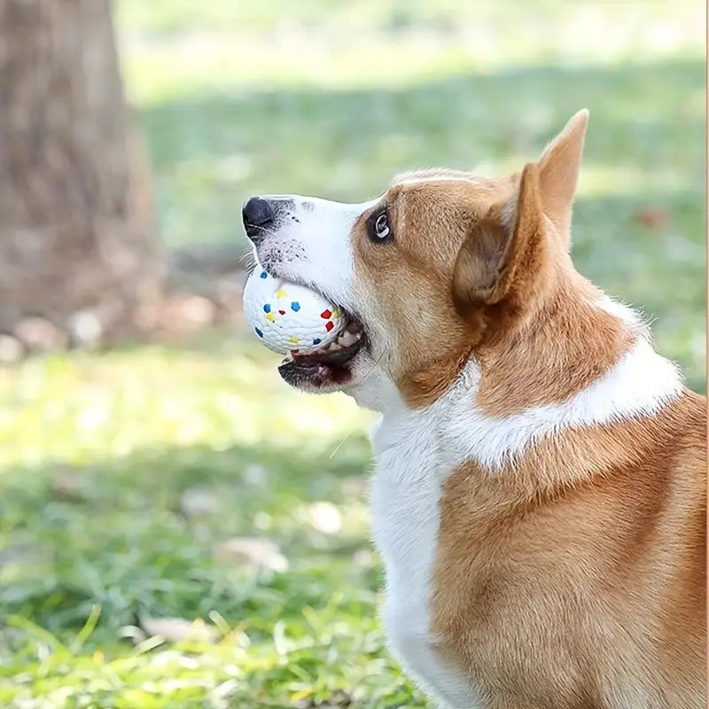 Lanciatore per Cani. Fai giocare il tuo cane e te ne sarà grato