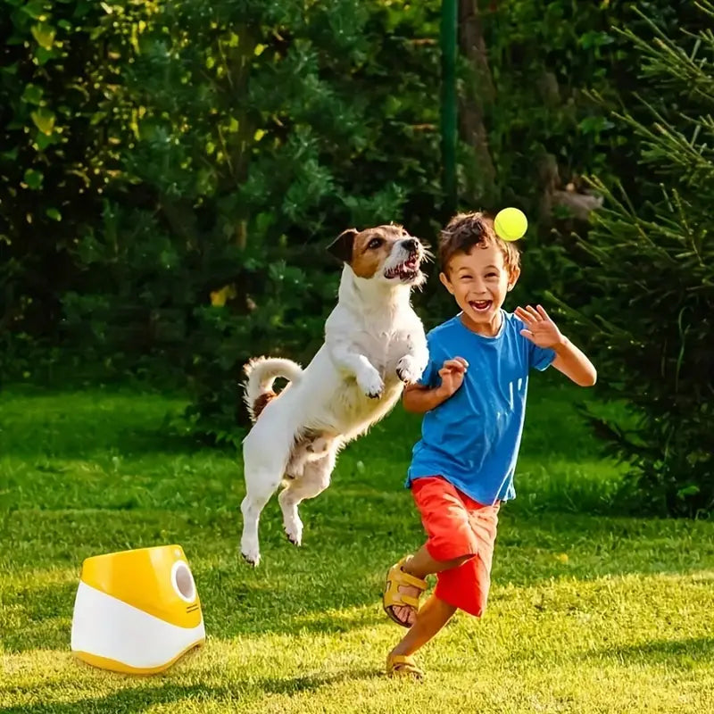 Lancia Palle per Cani — Gioco Facile e Divertente per i Nostri Amici