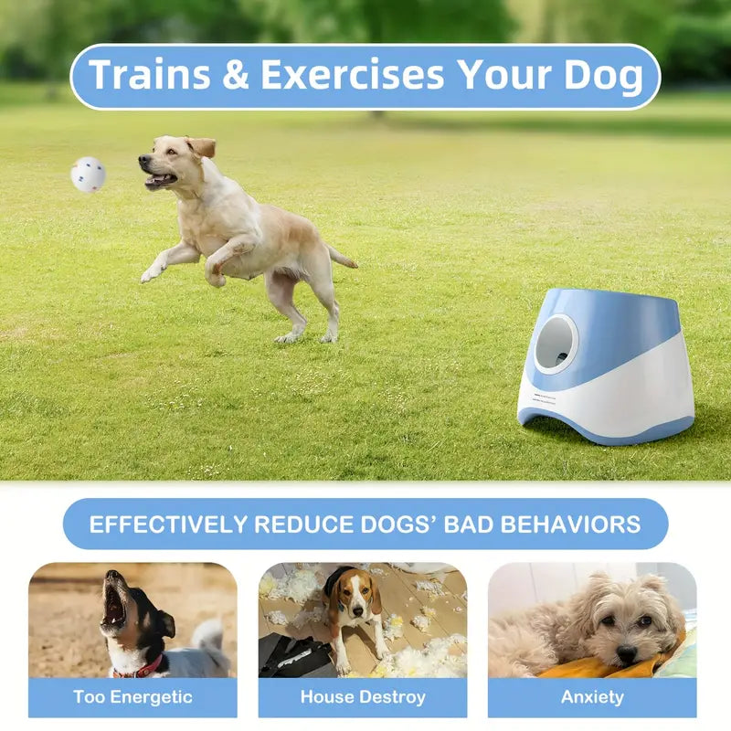 Lancia Palle per Cani — Gioco Facile e Divertente per i Nostri Amici
