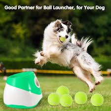 Lancia Palle per Cani — Gioco Facile e Divertente per i Nostri Amici