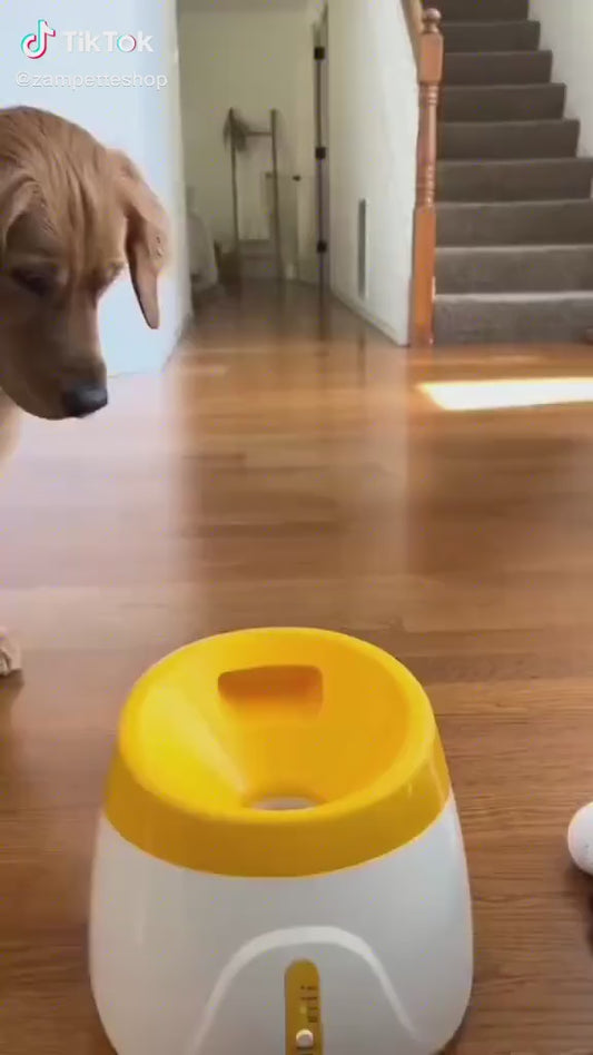 Lancia Palle per Cani — Gioco Facile e Divertente per i Nostri Amici